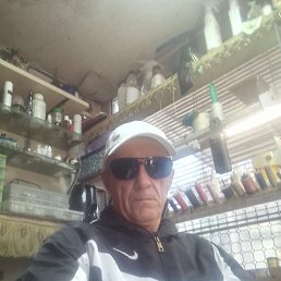 ����, 49 ���, ������