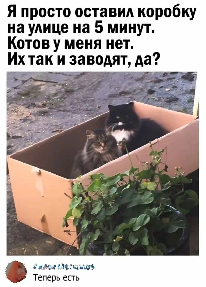 ���� ��� ���� - 6 ������� 2025 � 16:53
