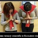 ���� ��������, ����������, 71 ��� - ��������� 3 ����� 2026 � ������ ������ ��������