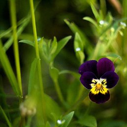 ���� �����, ������, 30 ��� - ��������� 26 ��� 2024