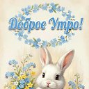 ���� �����, ���������, 53 ���� - ��������� 29 ����� 2026 � ������ ���� ����������