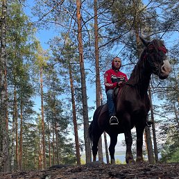 �����, 21 ���, �����-���������