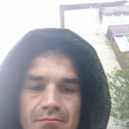 , 33, 