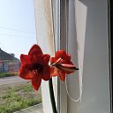 ���� ���������, ����-���������, 37 ��� - ��������� 21 ������ 2025 � ������ ���� ����������