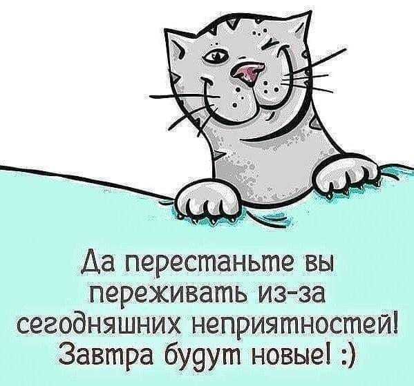   ,    . - 23  2025  07:56