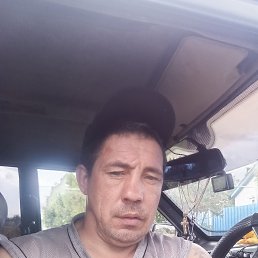 ����, 43 ����, ������-��-����