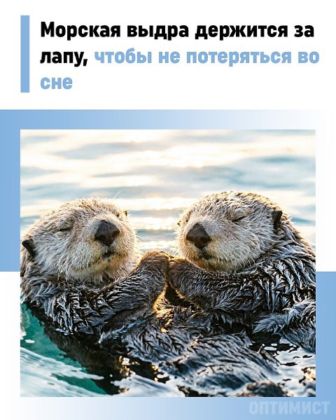������� ����� ������ ���� ����� �� ���� � ����� ��������� ������� ���� �� �����, ����� ������� �� ...
