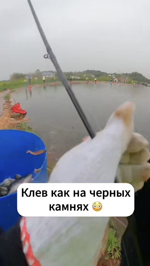   - 2