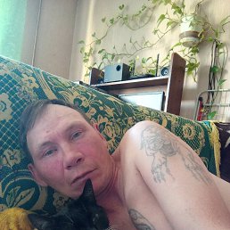 , 41 , 