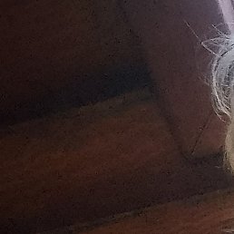 �����, ������������, 48 ���