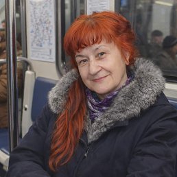 ���� �����, ��������������, 72 ���� - ��������� 8 ����� 2026