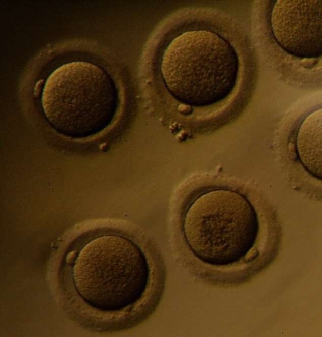 B 2002          c    3 ...