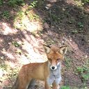 ���� ��������, �����-���������, 64 ���� - ��������� 7 ������� 2025 � ������ ������