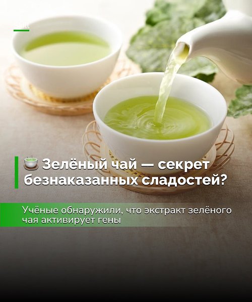 Можно не так остро чувствовать вину за лишний кусочек торта — если запить его зелёным чаем, совесть ...
