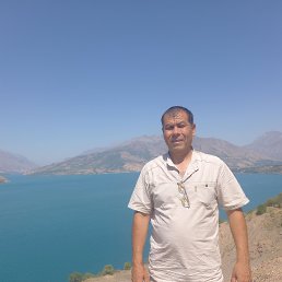 , 41, 