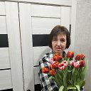 ���� �����, ��������, 57 ��� - ��������� 9 ����� 2026 � ������ ���� ����������