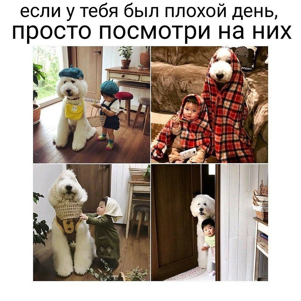    - 14  2023  11:17
