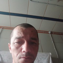 ����, ������, 41 ���