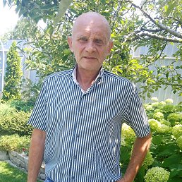 , 57, 