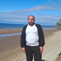 , 41, 