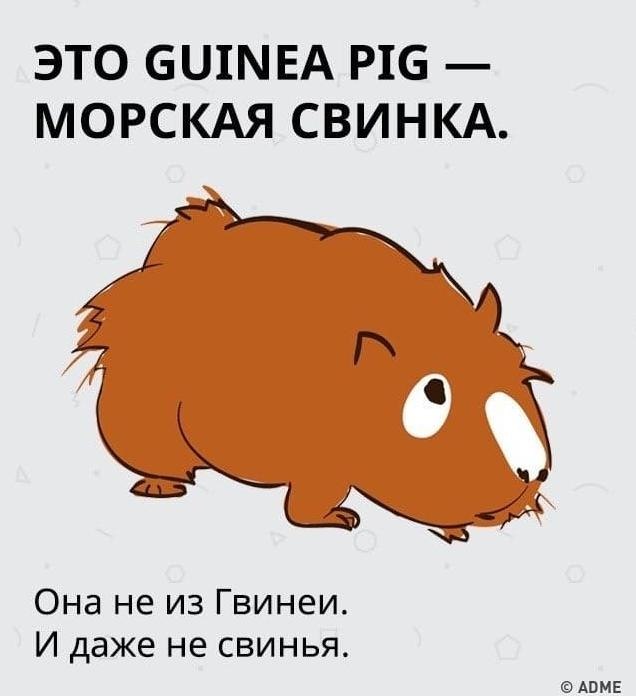 � ���������� ��� ���� ������� - 6