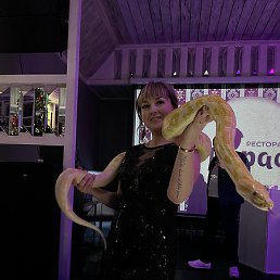 �����, �������, 38 ���