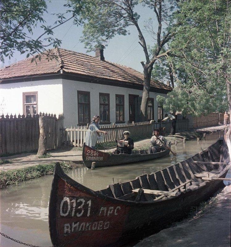     -.   , 1954 .