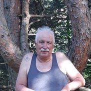 , 73 , 