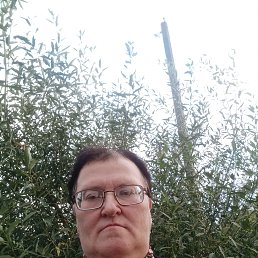 , 59, 