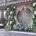 ���� �����, ������ - ��������� 12 �������� 2024 � ������ ������ ��������