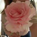 ���� ����, ������, 52 ���� - ��������� 10 ������� 2024 � ������ ���� ����������