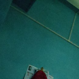 Jantar, �����������, 29 ���