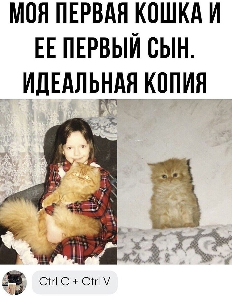   - 11  2024  18:32