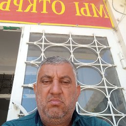 , 53,  
