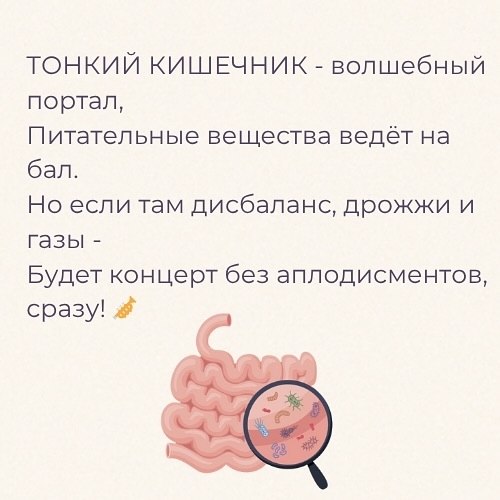 То, что мы едим, и есть мы - 8