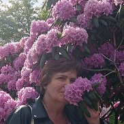 ирина, 59 лет, Ростов-на-Дону ирина, 59 лет, Ростов-на-Дону