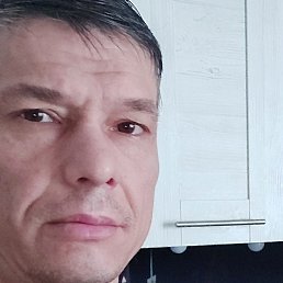 ������, ���, 42 ����