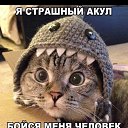 ���� �������, ����� - ��������� 21 ������� 2025 � ������ ���� ����������