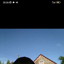 , 41, 