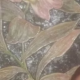 ����, ���������, 49 ���