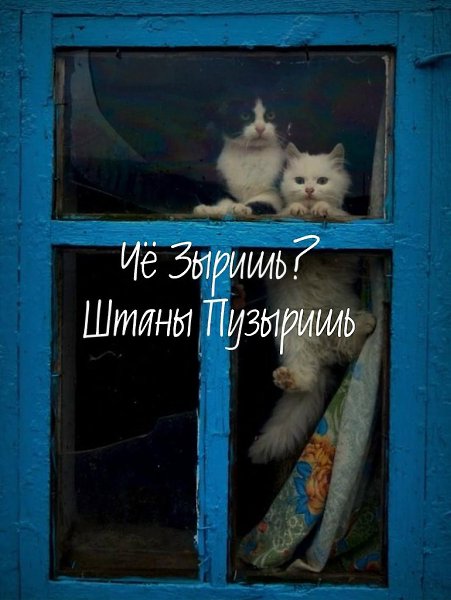 ������������,����������y