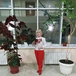 �������, ������������, 71 ���