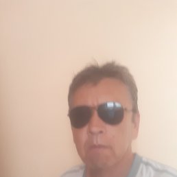 , 53, 