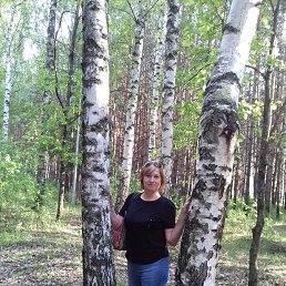 , 64,  