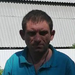 ������� ��������, ����, 41 ���