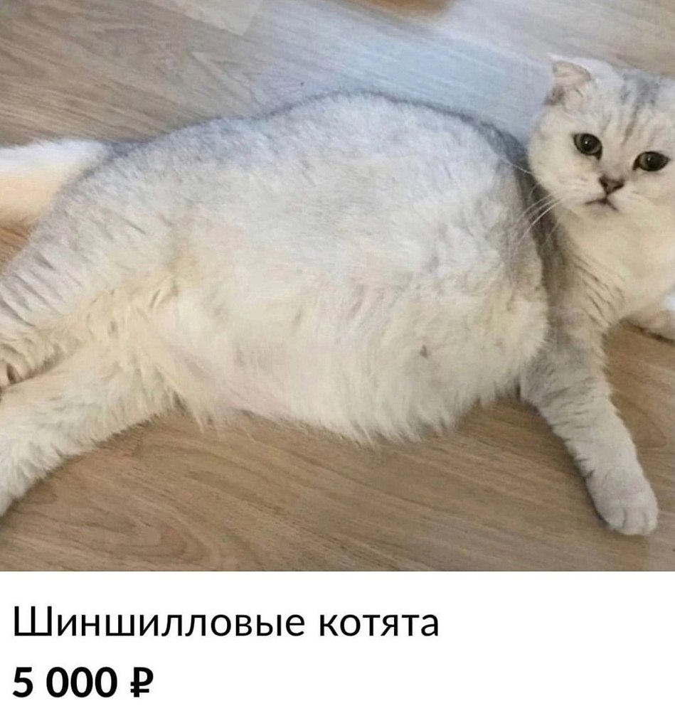 ,   ... - 2