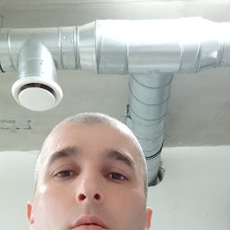 , 39, 