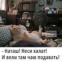 ���� ������, ������� - ��������� 11 ������� 2025 � ������ ���� ����������