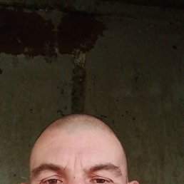 , 40, 