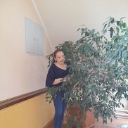 , 38 ,  